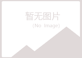 梅河口夏岚采矿有限公司